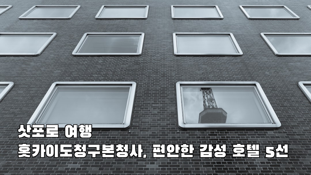 현지 느낌의 홋카이도청구본청사 소개자료