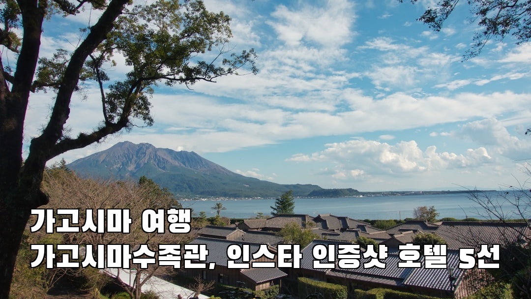 핫플 느낌의 가고시마수족관 소개자료