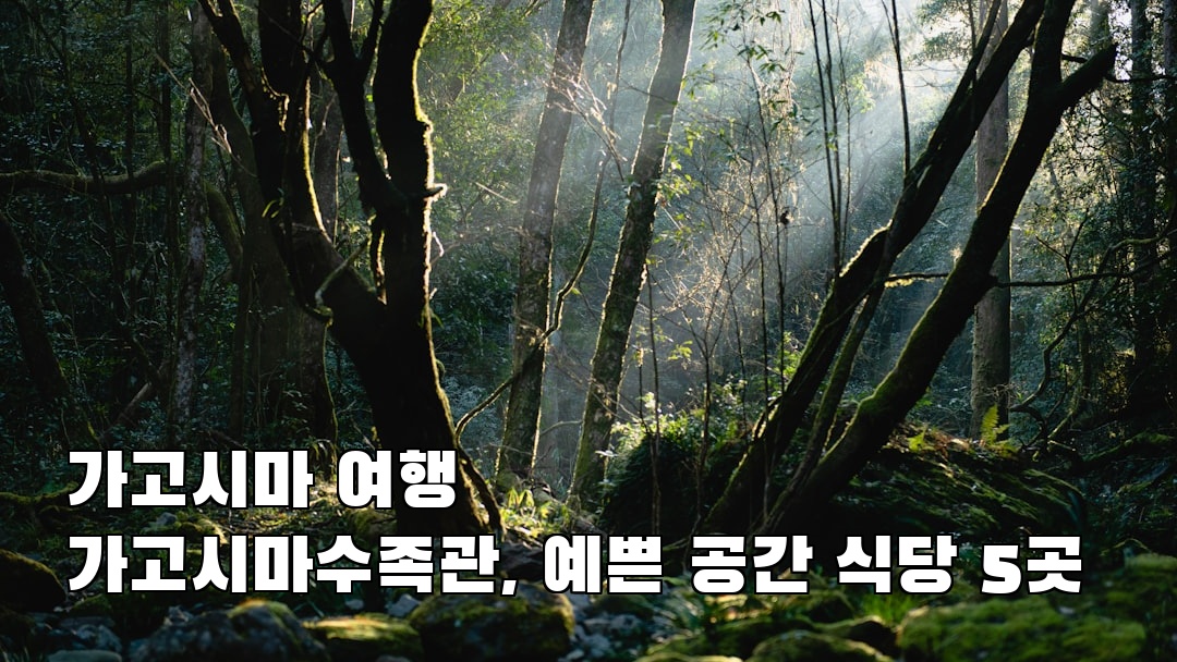 가고시마여행 가고시마수족관 소개자료