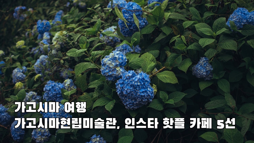 현지 느낌의 가고시마여행 가고시마현립미술관 가볼만한곳