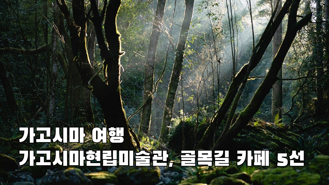 감성적인 가고시마현립미술관 친구랑여행