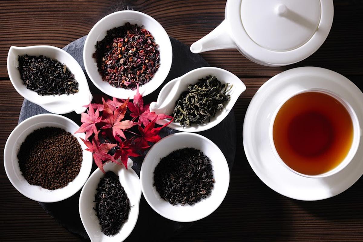 모미지 라운지, 가고시마 여행 중 방문