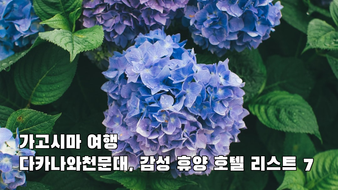 다카나와천문대 혼자여행