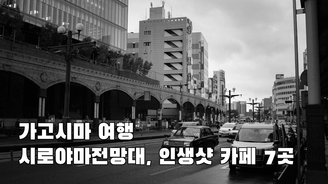 가고시마여행 시로야마전망대 혼자여행