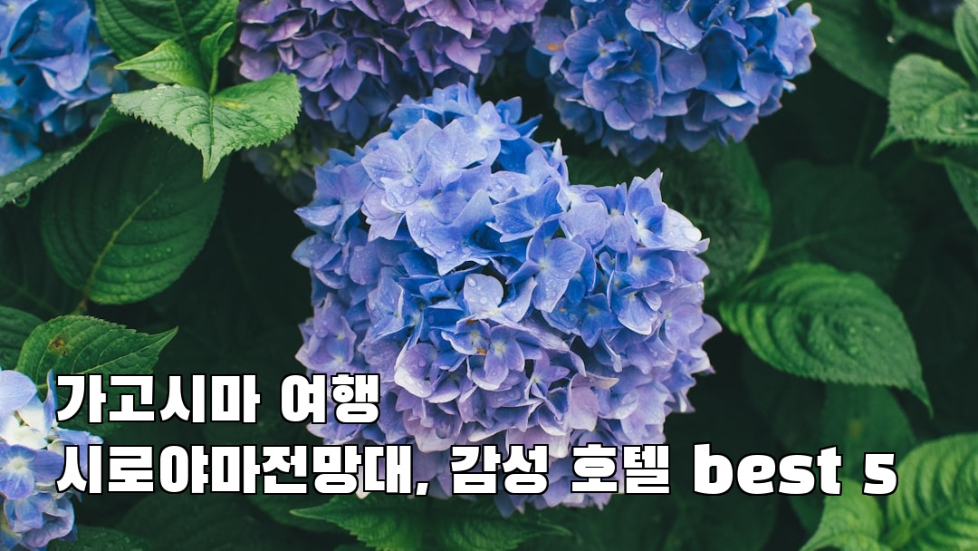 가고시마여행 시로야마전망대 가볼만한곳