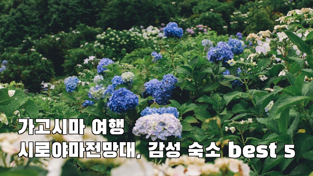 인스타 감성 가고시마여행 시로야마전망대 친구랑여행