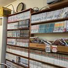 트렌디한 교토 브라운 썸네일