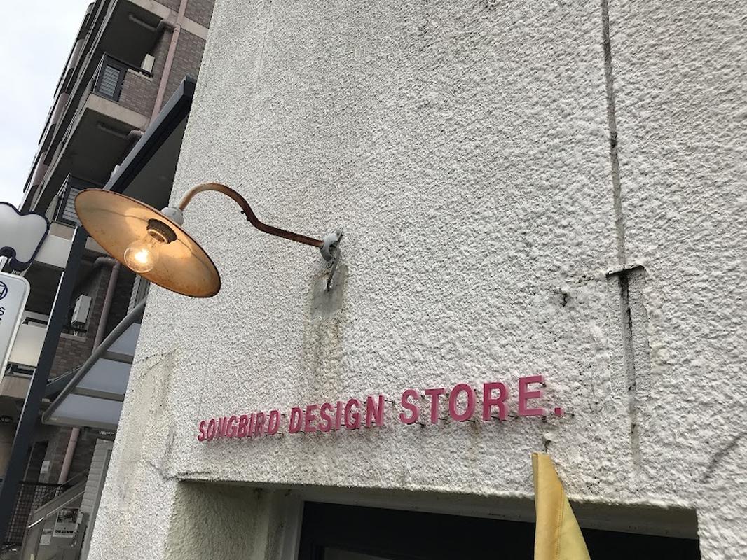 핫플로 유명한 니조성 송버드 커피