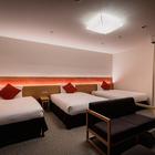 니조성 로지르 호텔 클래식 가든 교토 산조 사진 썸네일