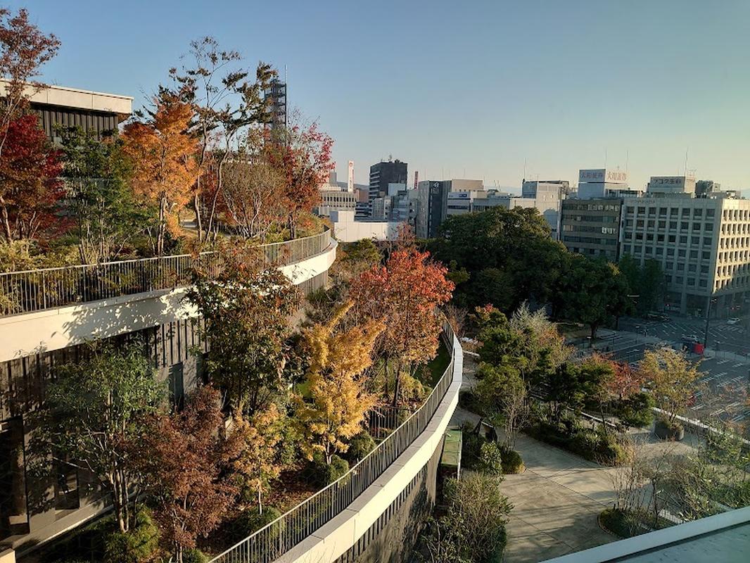 구마모토현립미술관 코코 호텔 프리미어 구마모토 사진