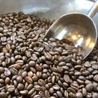 카모메 로스팅소, 나고야 여행 중 방문 썸네일