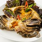 나고야 사카에 킨카 사진 썸네일