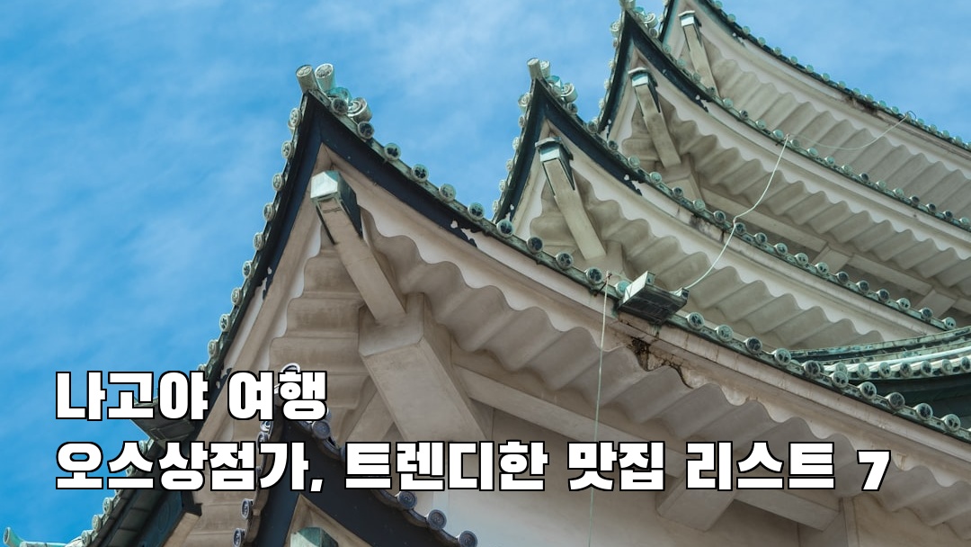 분위기 좋은 오스상점가 혼자여행