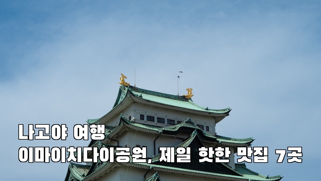 야경이 멋진 이마이치다이공원 혼자여행