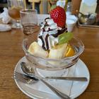 나고야 이마이치다이공원 패럿 사진 썸네일