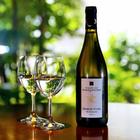 이마이치다이공원 식주공간 코스모스 사진 썸네일