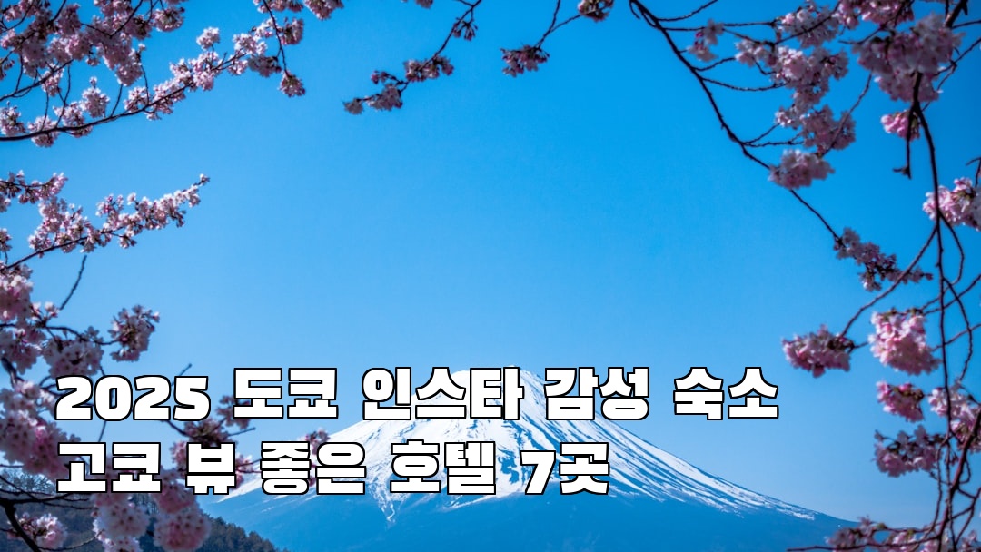 도쿄여행 고쿄 혼자여행