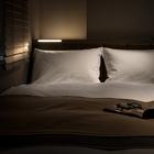 감성적인 도쿄 네스트 호텔 도쿄 한조몬 썸네일