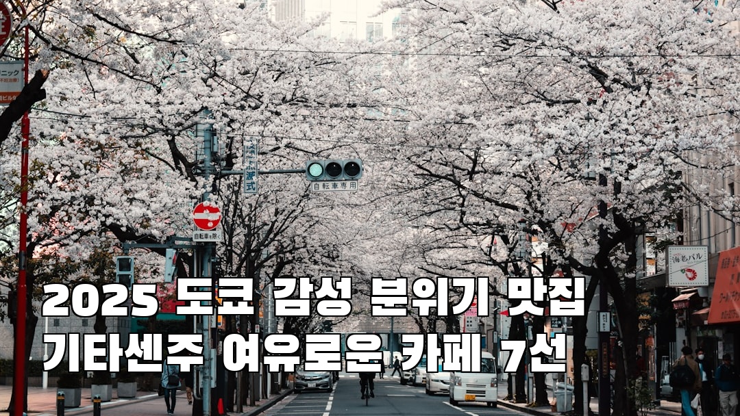 현지 느낌의 기타센주 소개자료