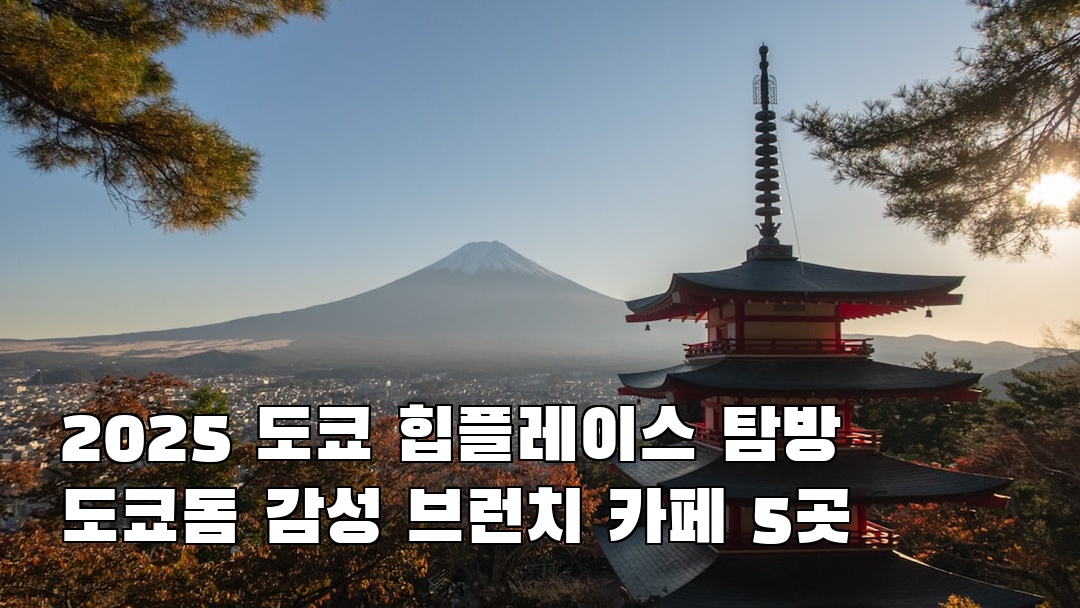 감성적인 도쿄돔 지역정보