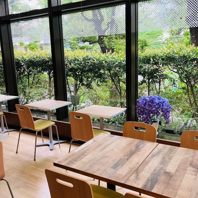 사진 찍기 좋은 도쿄 히나리 카페