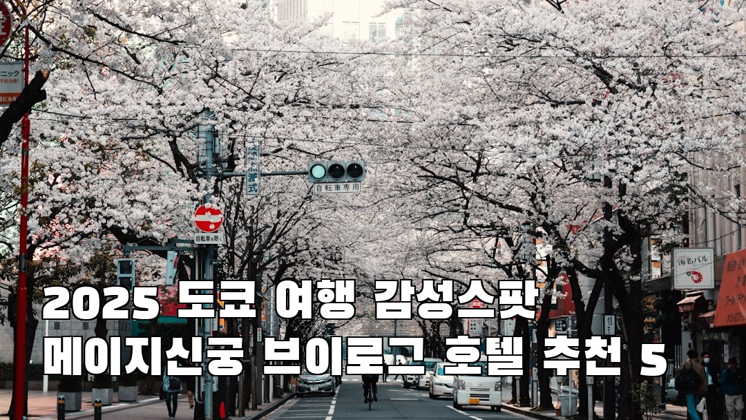 메이지신궁 현지정보