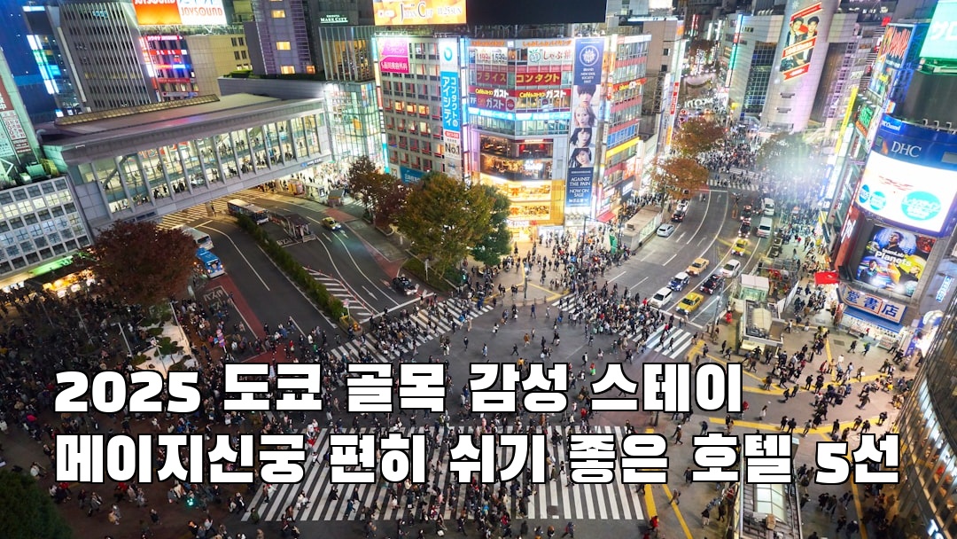 핫플 느낌의 도쿄여행 메이지신궁 지역정보