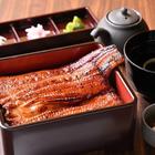 도쿄 메이지신궁 우나기노나루세 하라주쿠 사진 썸네일