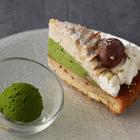 시부야 카구라자카 사료 사진 썸네일