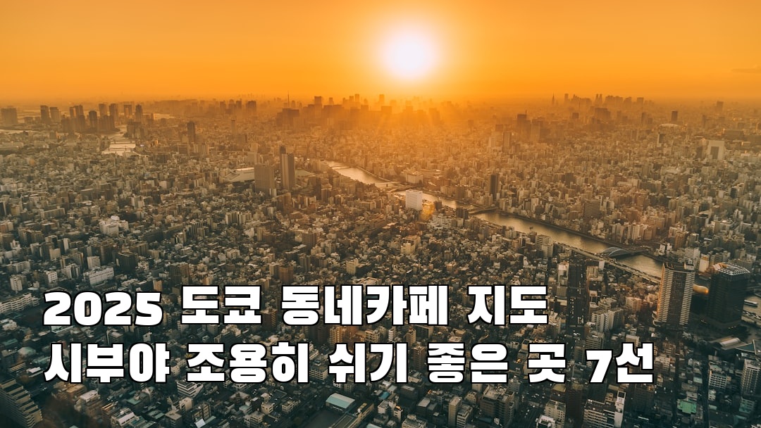 분위기 좋은 도쿄여행 시부야 현지정보