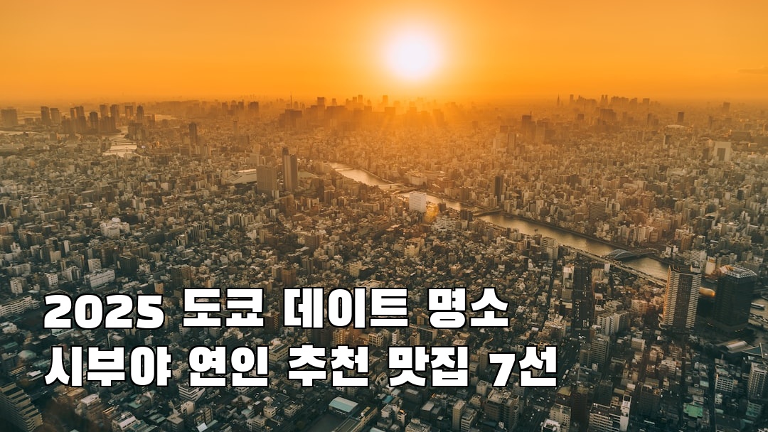 시부야 소개자료