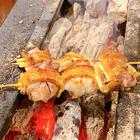 감성적인 도쿄 지토리군도리 카네코 썸네일