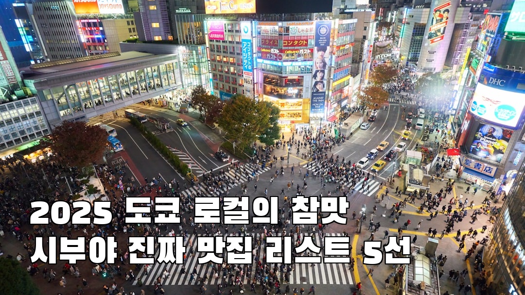 인스타 감성 도쿄여행 시부야 지역정보