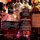 아키하바라 래빗러버스카페 아키하바라 사진 썸네일