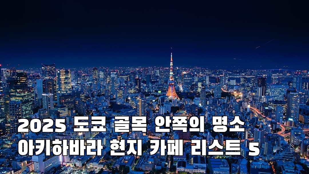 아키하바라 혼자여행