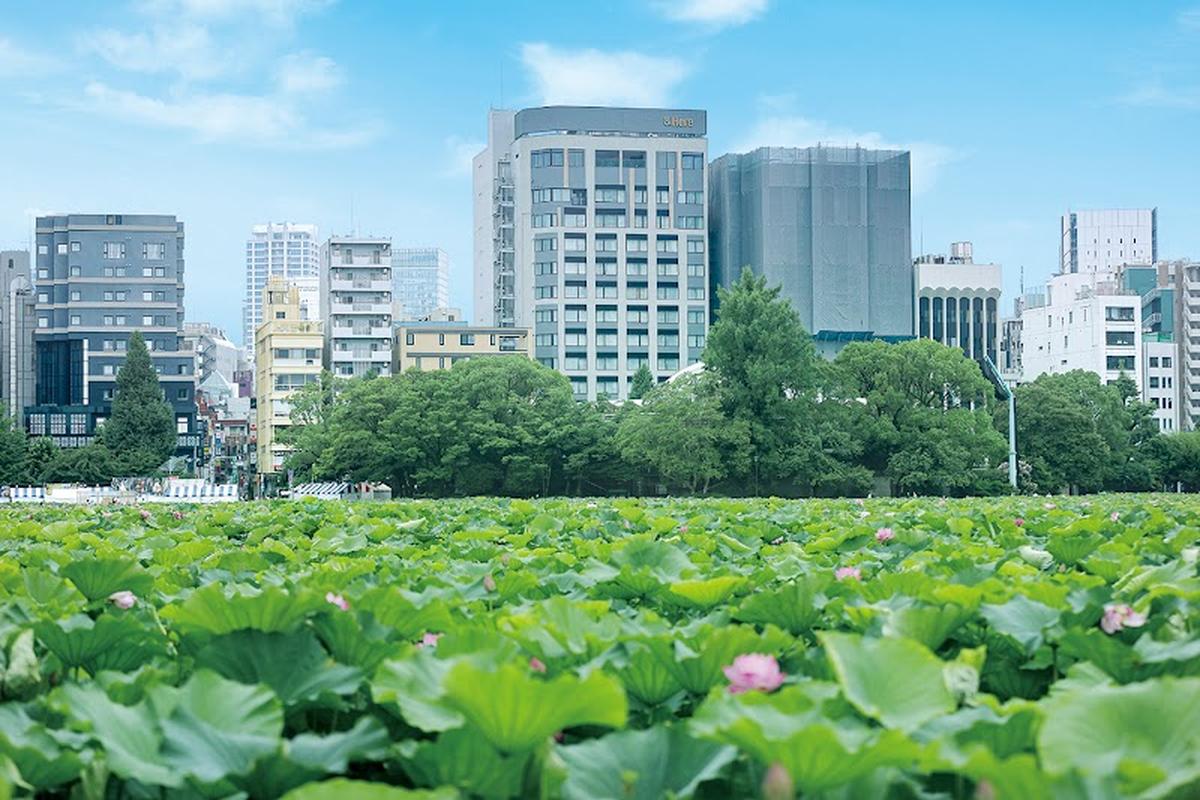 여행객 필수 아키하바라 &여기 도쿄 우에노