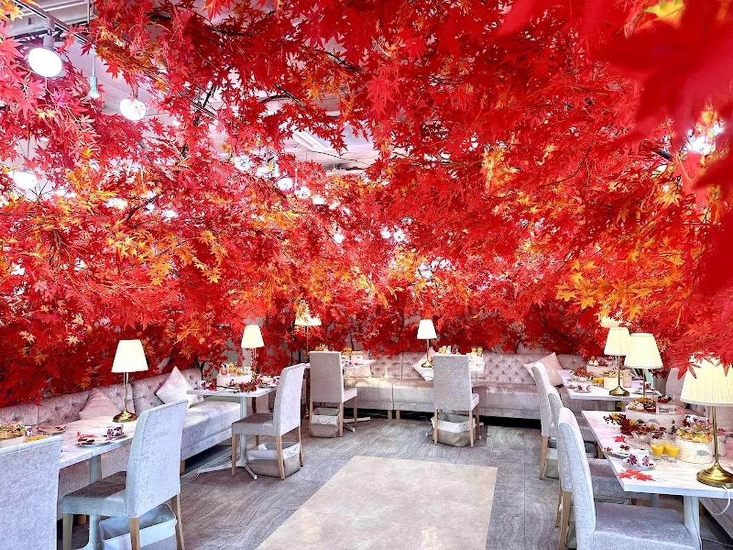 도쿄 오모테산도 오토쿠츄르 카페 사진