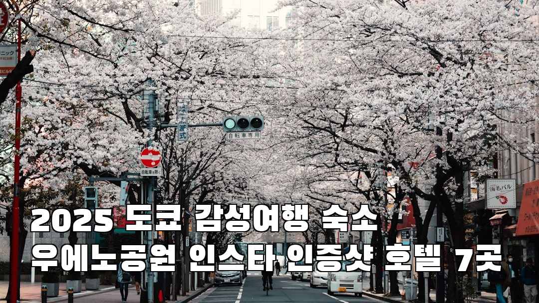 감성적인 우에노공원 현지정보