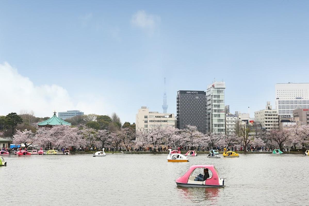 도쿄 우에노공원 아파 호텔 케세이 우에노에키마에 사진