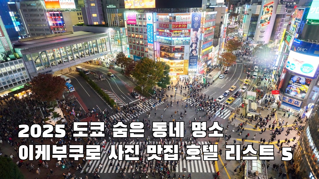 감성적인 이케부쿠로 현지정보