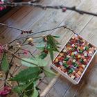 후지산꿈의대교 吉ト成 사진 썸네일