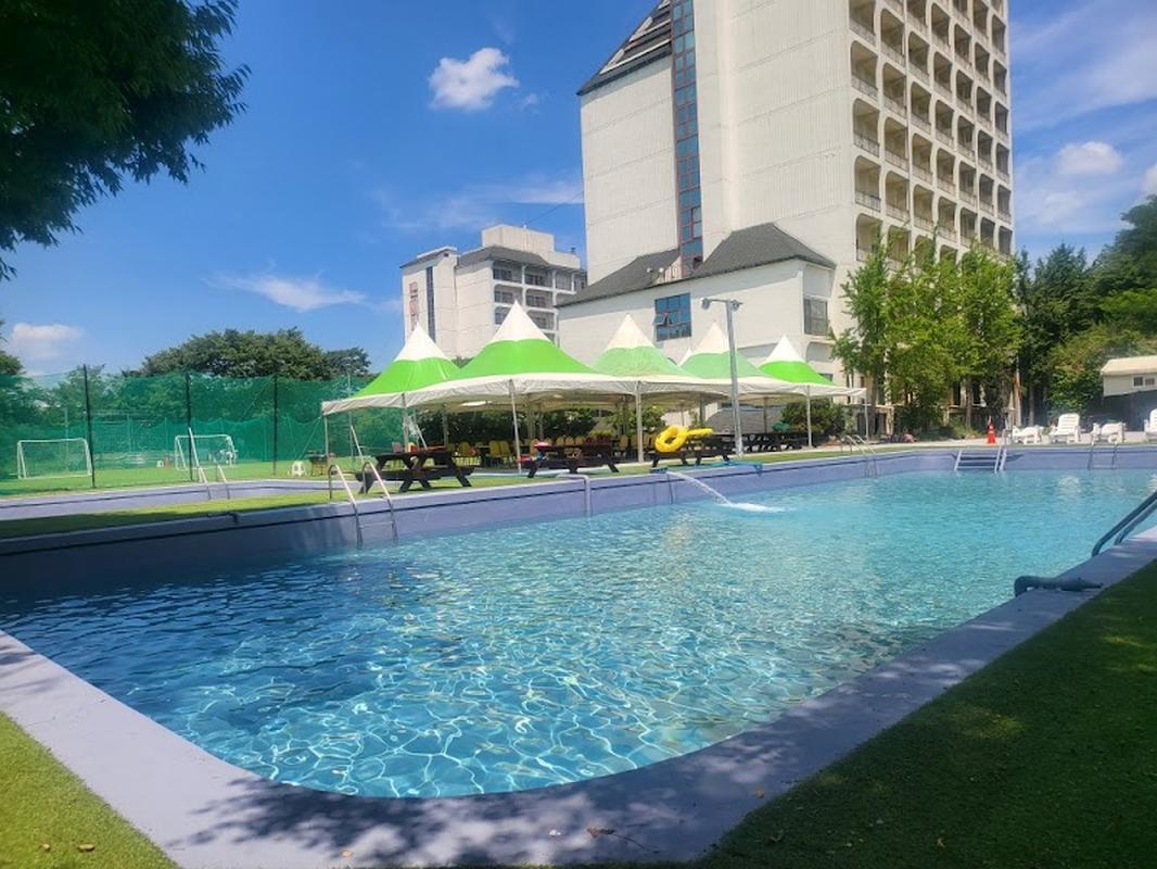 분위기 좋은 마쓰야마 토비스콘도 도고