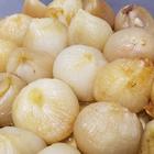 오우치 고반 텐사이토 - 마쓰야마성 인기 스팟 썸네일