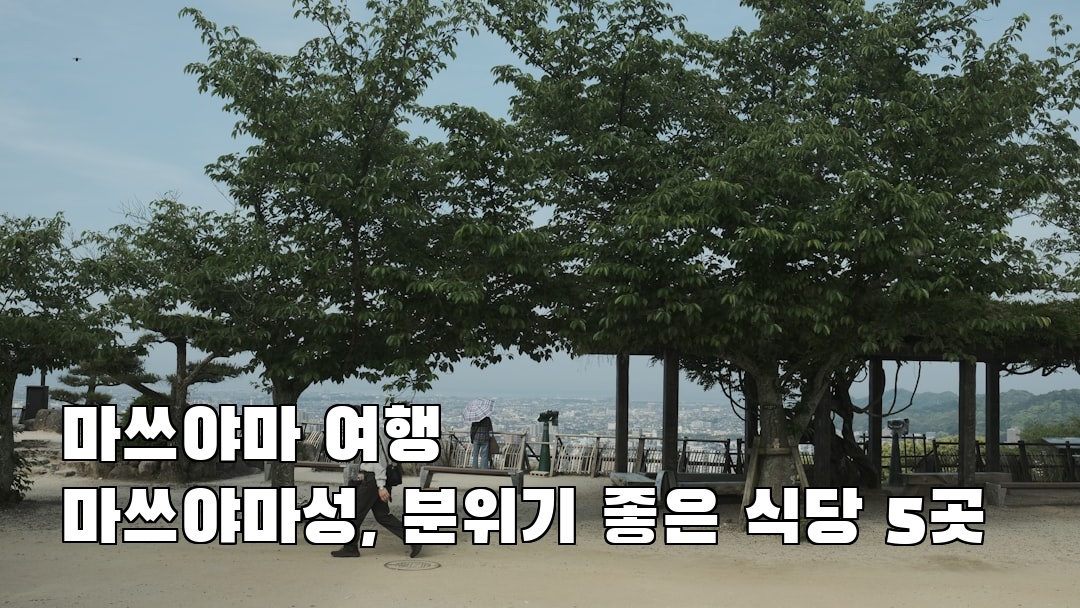 핫플 느낌의 마쓰야마여행 마쓰야마성 친구랑여행