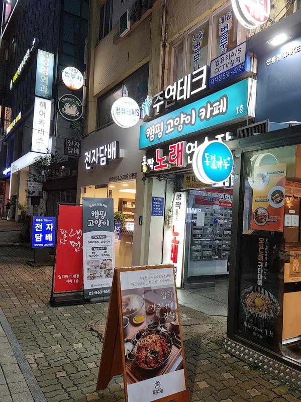 트렌디한 매장 캠핑고양이카페