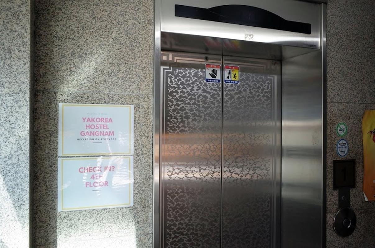 로컬 추천 마쓰야마 야코레아 호스텔 강남