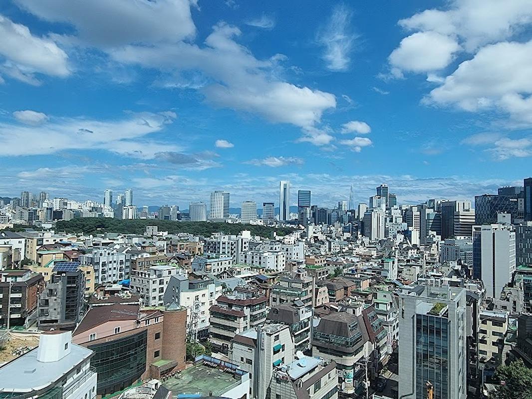 핫플로 유명한 마타이신사 신라 스테이 역삼