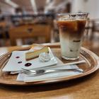 엠제이 북 카페, 삿포로 여행 중 방문 썸네일