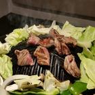 지토세온천 나마 램 몽골 사진 썸네일