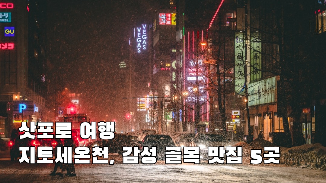 삿포로여행 지토세온천 사전조사